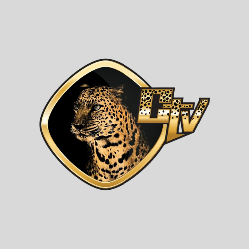 CheetahTV
